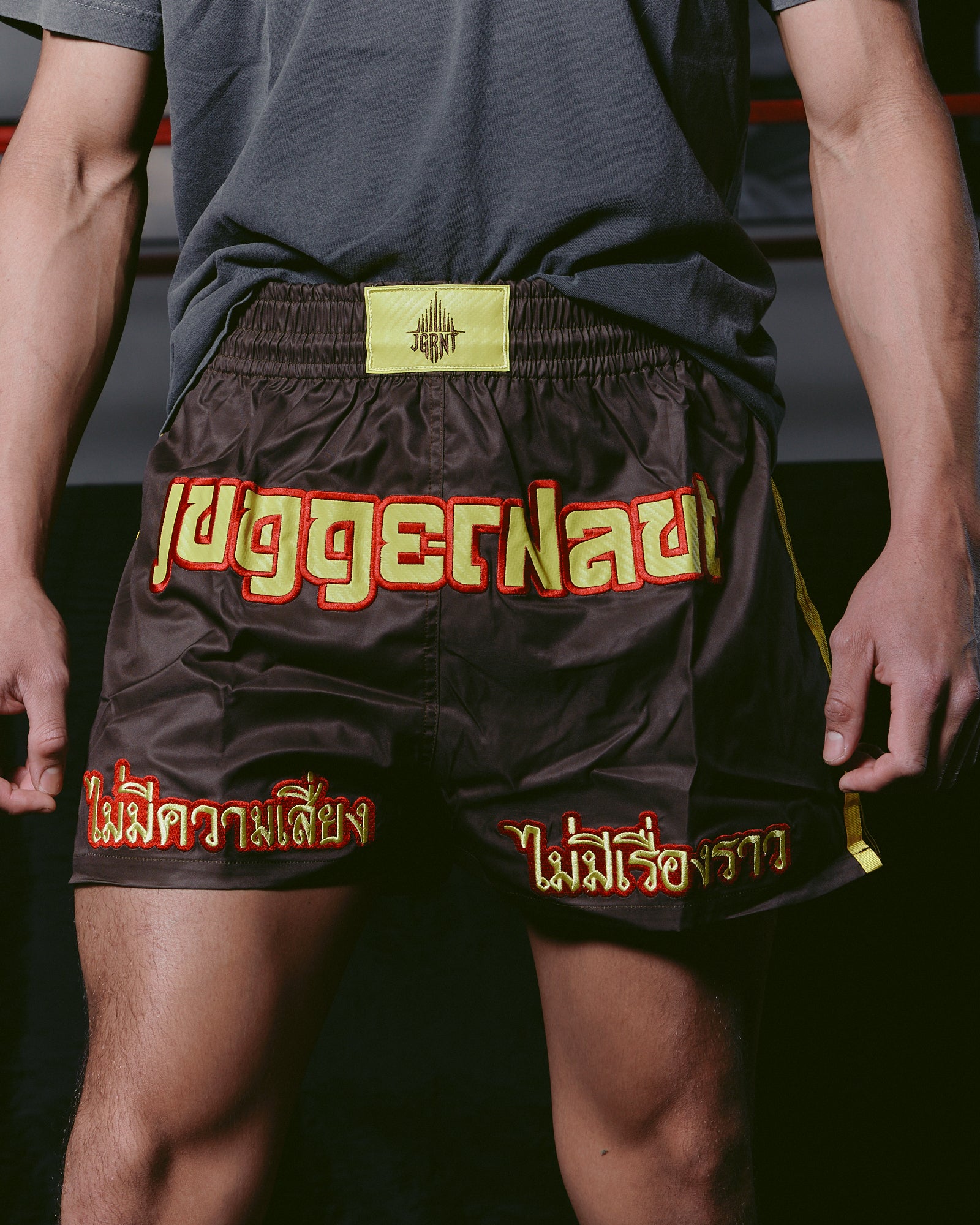 OG - Muay Thai Shorts (Brown)