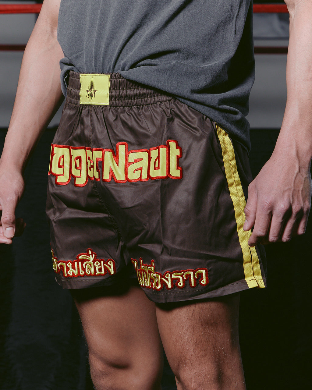 OG - Muay Thai Shorts (Brown)